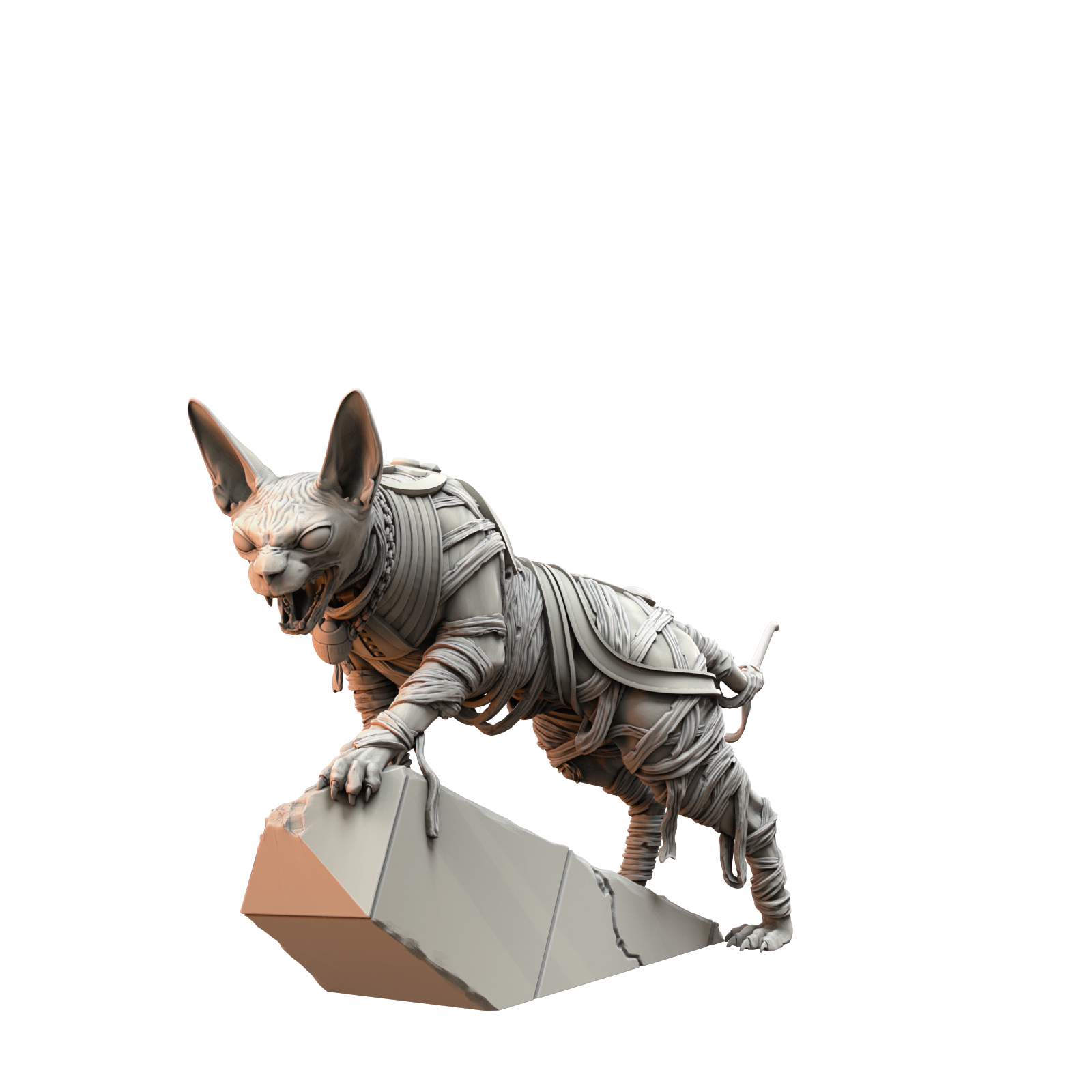 Sphinx Cats - image 3