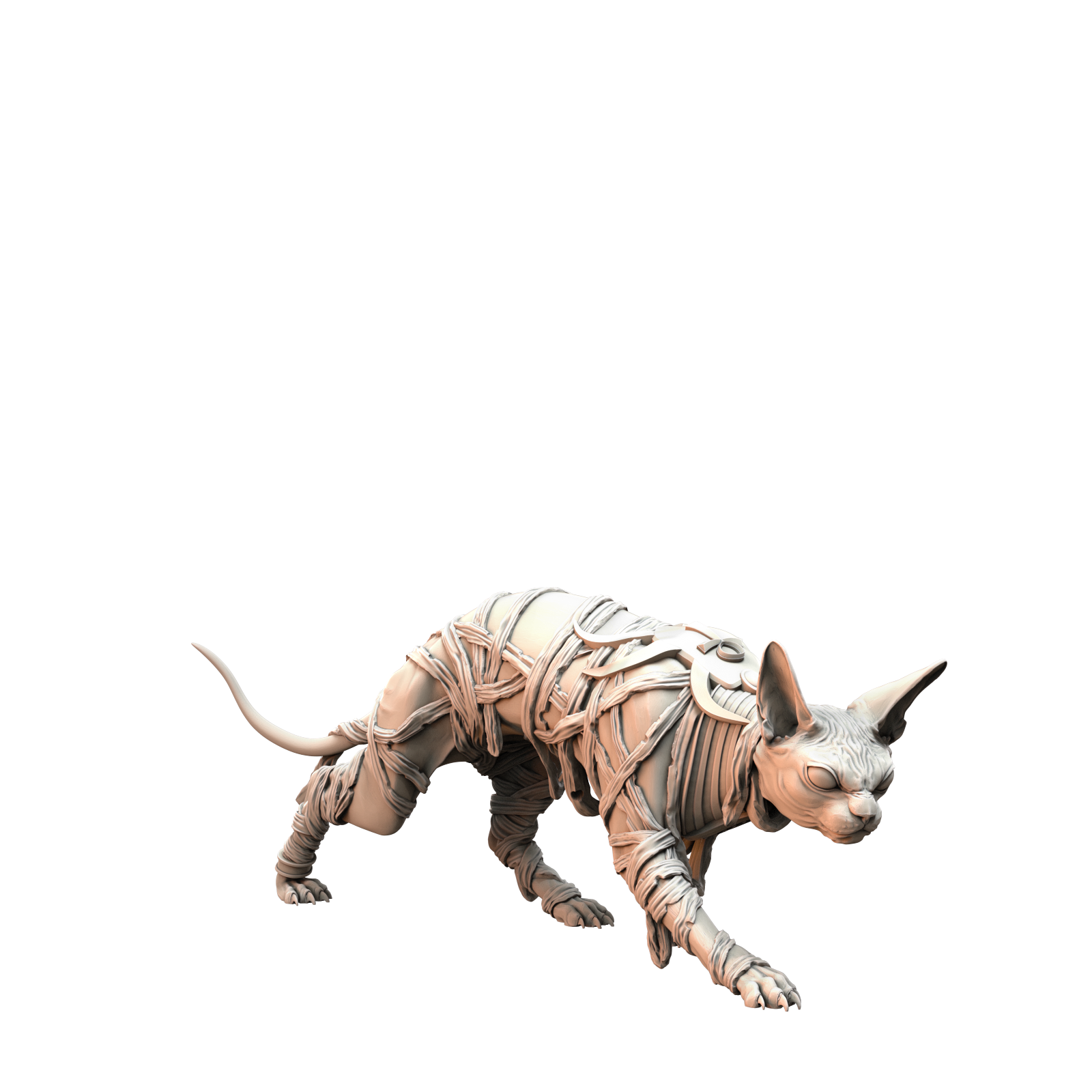 Sphinx Cats - image 5