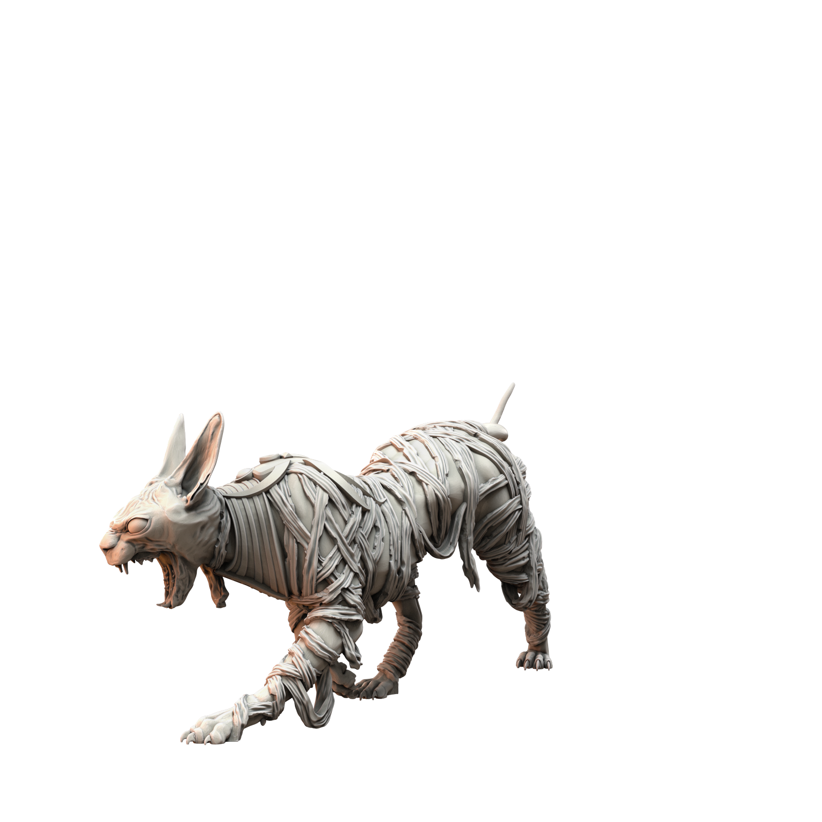 Sphinx Cats - image 7