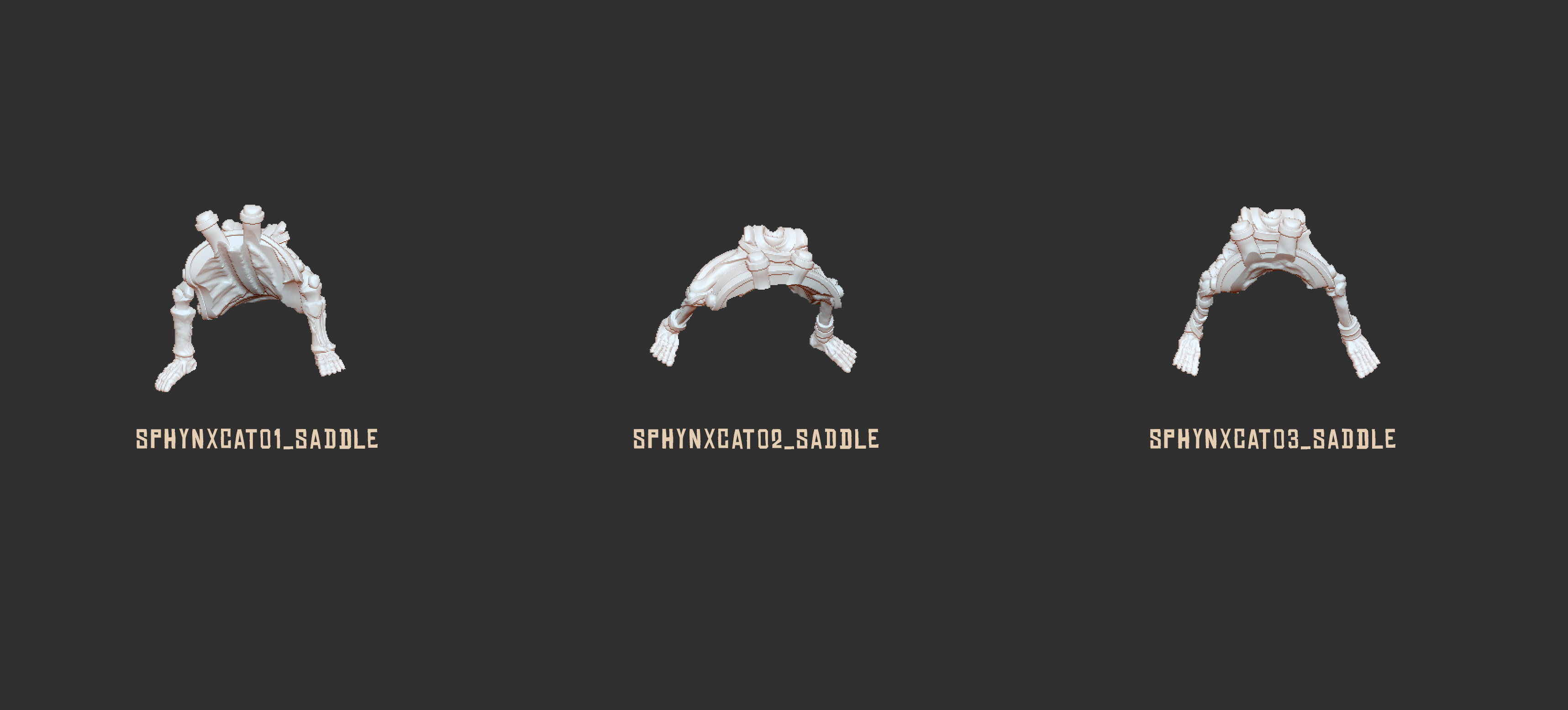 Sphinx Cats - image 13